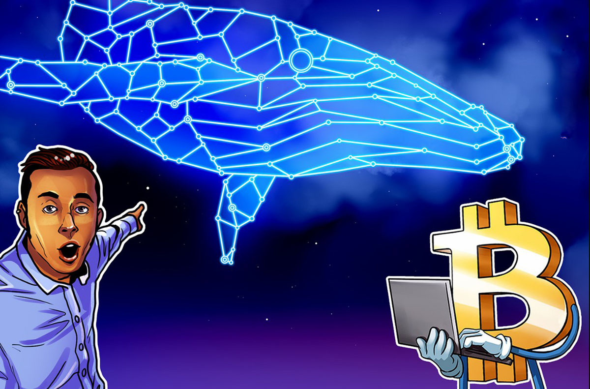 Santiment数据:比特币(BTC)巨鲸于7.1万美元价位再度开启囤积行动