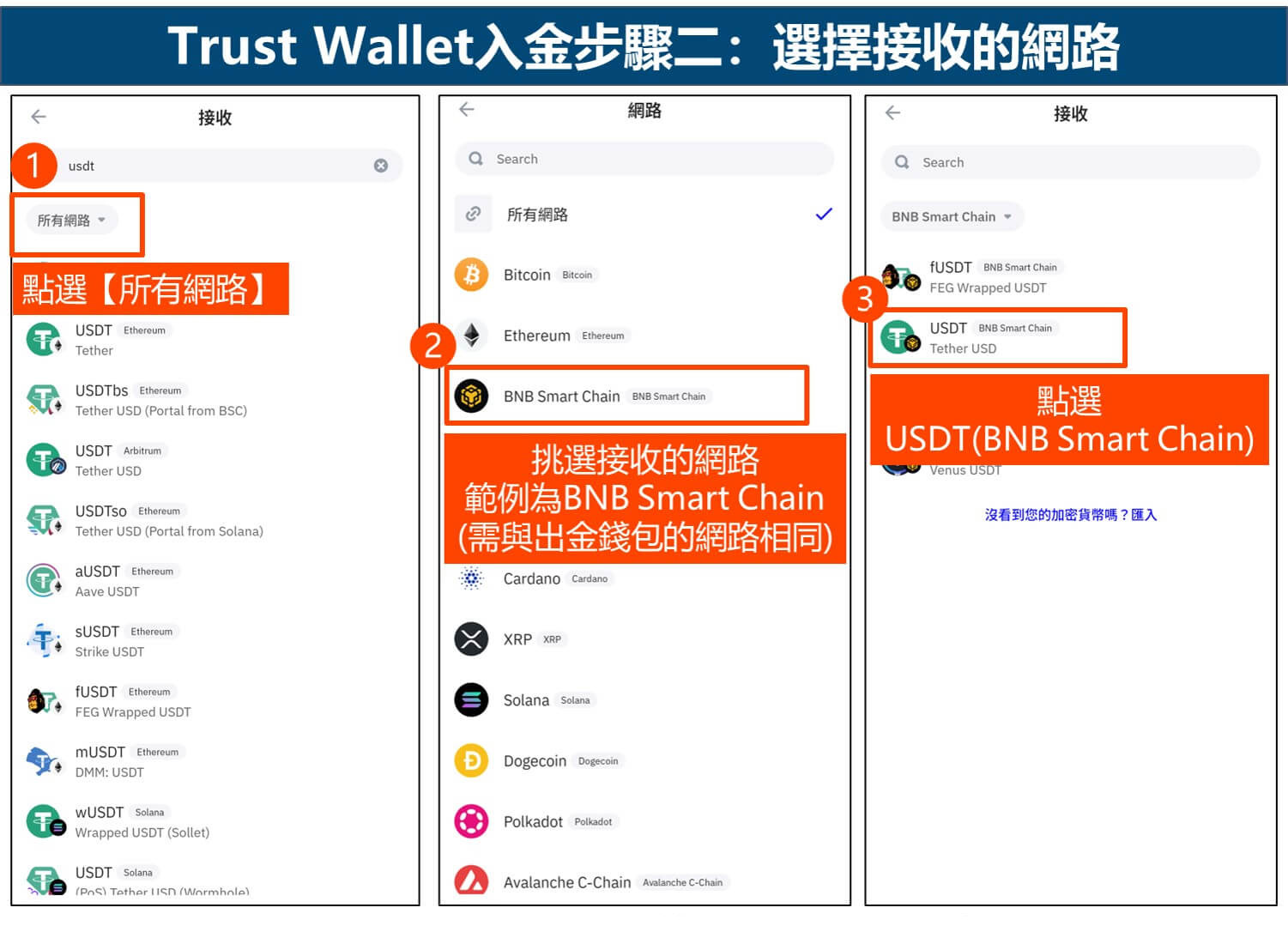 Trust Wallet入金步骤二:选择接收的网路